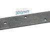 gate hinge long strap